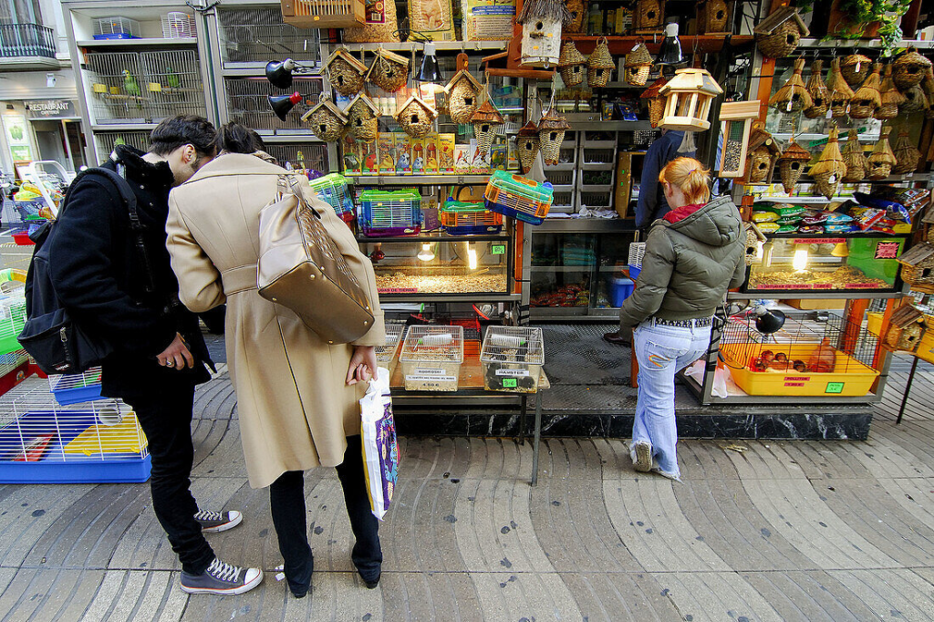 pet market Barcelona