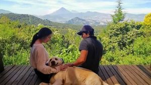 Pet Friendly zoo Guatemala